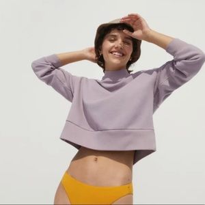 Everlane Track Cropped Sweatshirt